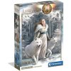 Puzzle Anne Stokes - Winter Guardians, 1000 ks Puzzle Anne Stokes - Winter Guardians, 1000 ks