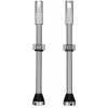 PEATY'S X CHRIS KING (MK2) SILVER TUBELESS VALVES - 80MM (PTV2-80-SIL-12) Množ. Uni PEATY'S X CHRIS KING (MK2) SILVER TUBELESS VALVES - 80MM (PTV2-80-SIL-12) Množ. Uni