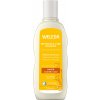 Weleda ovesný regenerační šampón pro suché a poškozené vlasy 190 ml Weleda ovesný regenerační šampón pro suché a poškozené vlasy 190 ml