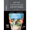 NETTER FLASHCARDS DE ANATOMIA MIEMBROS 6ª ED NETTER FLASHCARDS DE ANATOMIA MIEMBROS 6ª ED