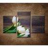 Prvé tulipány - 3dielny 90x60cm Prvé tulipány - 3dielny 90x60cm
