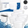 Filtračná patróna do kanvice Wessper AquaMax Plus 6 ks Filtračná patróna do kanvice Wessper AquaMax Plus 6 ks
