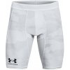 Under Armour UA HG IsoChll Long Print Sts