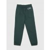 GAP Kids Sweatpants with Logo - Boys kaki S GAP 1200137388791 GAP Kids Sweatpants with Logo - Boys kaki S GAP 1200137388791