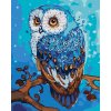 ZUTY Maľovanie podľa čísel - MODRÁ SOVA Rámovanie: bez rámu a bez vypnutia plátna, Rozmer: 40x50 cm ZUTY Maľovanie podľa čísel - MODRÁ SOVA Rámovanie: bez rámu a bez vypnutia plátna, Rozmer: 40x50 cm