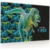 Karton P+P podložka na stůl 60x40cm Premium Dinosaurus Karton P+P podložka na stůl 60x40cm Premium Dinosaurus