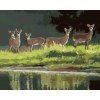 ZUTY Maľovanie podľa čísel - SRNY PRI JAZERE (D. RUSTY RUST) Rámovanie: vypnuté plátno na rám, Rozmer: 40x50 cm ZUTY Maľovanie podľa čísel - SRNY PRI JAZERE (D. RUSTY RUST) Rámovanie: vypnuté plátno na rám, Rozmer: 40x50 cm