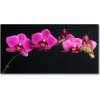 Foto obraz akrylový Orchidea 100x50 cm Foto obraz akrylový Orchidea 100x50 cm