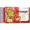 Dr.Müller UROSEPT bylinný UROLOGICKÝ čaj 20 x 1,5 g Dr.Müller UROSEPT bylinný UROLOGICKÝ čaj 20 x 1,5 g