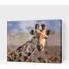 Vymalujsisam.sk Maľovanie podľa čísiel - Safari - Žirafa Veľkosť: 40x50cm, Rám: Na kartónovej doske Vymalujsisam.sk Maľovanie podľa čísiel - Safari - Žirafa Veľkosť: 40x50cm, Rám: Na kartónovej doske