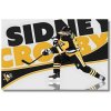 Sidney Crosby obraz hokejistu Sidney Crosby obraz hokejistu