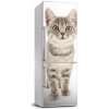 Nálepka fototapeta chladnička Sivá mačka 60x180 cm Nálepka fototapeta chladnička Sivá mačka 60x180 cm