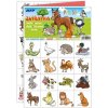MFP 5300898 Pexeso 3xA4 Zvieratká 2 MFP 5300898 Pexeso 3xA4 Zvieratká 2