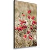 Vertikálny foto obraz canvas Poľné kvety 50x100 cm Vertikálny foto obraz canvas Poľné kvety 50x100 cm