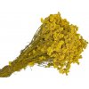 Sušené kvety Helichrysum Italicum 80g - Kari slamienka - žltá Sušené kvety Helichrysum Italicum 80g - Kari slamienka - žltá