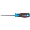 Extol Premium krížový skrutkovač magnetický Ph1x100mm 8819271 Extol Premium krížový skrutkovač magnetický Ph1x100mm 8819271