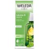 WELEDA Brezový olej na celulitídu 100 ml WELEDA Brezový olej na celulitídu 100 ml
