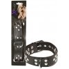 Zdobený obojok s krúžkom na vodítko X Play Collar D-ring Zdobený obojok s krúžkom na vodítko X Play Collar D-ring