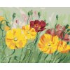 Zuty – Maľovanie Podľa Čísel – Farebný Vlčí Mak, 40 × 50 cm, Plátno + Rám 8596530105732 Zuty – Maľovanie Podľa Čísel – Farebný Vlčí Mak, 40 × 50 cm, Plátno + Rám 8596530105732