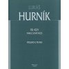 Tři věty pro housle a klavír - Lukáš Hurník