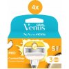 Venus hlavica 4x (3ks/bli) Coconut Venus hlavica 4x (3ks/bli) Coconut