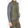 Patagonia Down Sweater Vest pine needle green