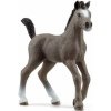 Schleich 13957 Hříbě plemene Selle Français Schleich 13957 Hříbě plemene Selle Français