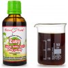 Zuby (ďasná, lôžko, kosť - b-stop pre zuby) kvapky (tinktúra) 50 ml Zuby (ďasná, lôžko, kosť - b-stop pre zuby) kvapky (tinktúra) 50 ml