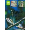 Aves de España y Europa Aves de España y Europa