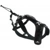I-DOG postroj RAIDLIGHT
