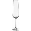 Crystalex CZ BOHEMIA SANDRA POHÁR NA ŠAMPANSKÉ 6 x 200 ml