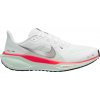 Nike Pegasus 41 fd2722 115