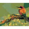 zuty Maľovanie podľa čísel - Malý farebný vtáčik so špicatým zobákom, 100x80 cm, bez rámu a bez vypnutia pl (8596530047261) zuty Maľovanie podľa čísel - Malý farebný vtáčik so špicatým zobákom, 100x80 cm, bez rámu a bez vypnutia pl (8596530047261)
