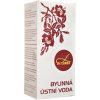 Dr. Landa Bylinná ústna voda 2 x 250 ml Dr. Landa Bylinná ústna voda 2 x 250 ml