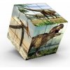 Wiky Kocka obrázkový hlavolam dinosaury 5,7 cm WKW047876