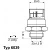 Teplotný spínač ventilátora chladenia BorgWarner (Wahler) 6039.95D 6039.95D Teplotný spínač ventilátora chladenia BorgWarner (Wahler) 6039.95D 6039.95D