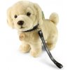 Rappa Plyšový pes zlatý retrívr stojící s vodítkem 25 cm ECO-FRIENDLY Rappa Plyšový pes zlatý retrívr stojící s vodítkem 25 cm ECO-FRIENDLY