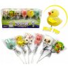 Želé lízanky Mini Animal Jelly Pop 30 kusov x 13g Želé lízanky Mini Animal Jelly Pop 30 kusov x 13g