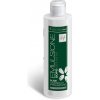 HOLIDAY After Wax Milk Hydratačné mlieko po depilácii ALOE VERA 250 ml