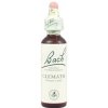 Clematis - Plamienok plotný 20 ml - bachove kvapky Clematis - Plamienok plotný 20 ml - bachove kvapky