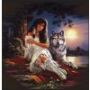 Norimpex diamantové malování Indiánka s vlkem 30 x 40cm