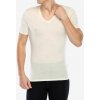 Funkčné tričko Icebreaker Anatomica S/S V - undyed Funkčné tričko Icebreaker Anatomica S/S V - undyed