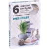 Parafínová čajová sviečka wellness Admit 6 ks Parafínová čajová sviečka wellness Admit 6 ks