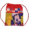 Euroswan Mickey color Polyester