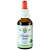Salvia Paradise Cesnak medvedí lyofilizovaný bylinné kvapky (tinktúra) bez alkoholu 50 ml Salvia Paradise Cesnak medvedí lyofilizovaný bylinné kvapky (tinktúra) bez alkoholu 50 ml