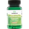 Swanson Lactobacillus Gasseri 3 miliardy CFU 60 rostlinných kapsúl