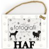 Nekupto Pets drevený fotorámik na zavesenie Haf 15,5 x 11,8 x 1,2 cm Nekupto Pets drevený fotorámik na zavesenie Haf 15,5 x 11,8 x 1,2 cm