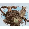 Diamondi Diamantové maľovanie - SOVY A HNIEZDO (D. RUSTY RUST) Rámovanie: bez rámu a bez vypnutia plátna, Rozmer: 40x50 cm Diamondi Diamantové maľovanie - SOVY A HNIEZDO (D. RUSTY RUST) Rámovanie: bez rámu a bez vypnutia plátna, Rozmer: 40x50 cm