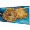 Sklenený obklad do kuchyne Umenie kvety slnečnica 100x50 cm Sklenený obklad do kuchyne Umenie kvety slnečnica 100x50 cm