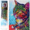 NORIMPEX Diamantové maľovanie Upretý pohľad 30 x 40 cm